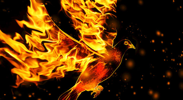 Holy-Spirit-dove-fire-creationswap